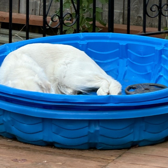 Slide #3 Christian Louboutin NWT SEND OFFERS, 1 Available, 3 info slides - Picture 2 of 2